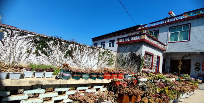 家庭养花用生根粉