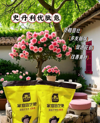 家庭养花用生根粉