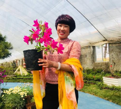 家庭养花用生根粉