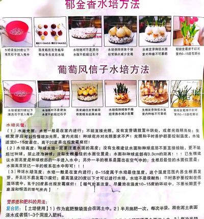 家庭养花用生根粉