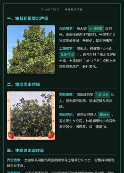 怎么种植广玉兰