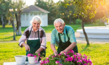 欧洲养花老夫妇
