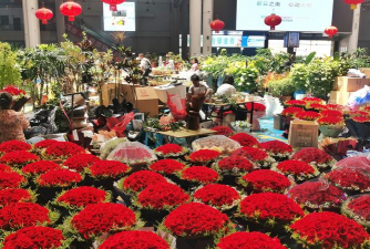 家庭养花用生根粉