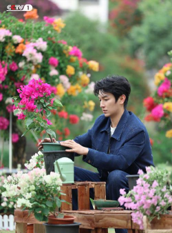 家庭养花用生根粉