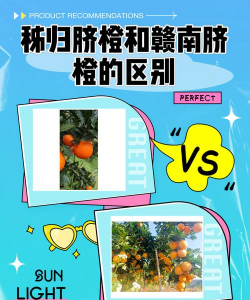 赣南脐橙和秭归脐橙的区别 优缺点介绍