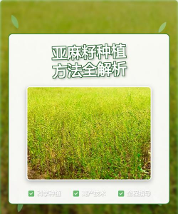 亚麻怎么种植方法