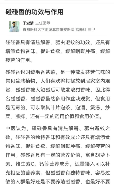 碰碰香怎么食用