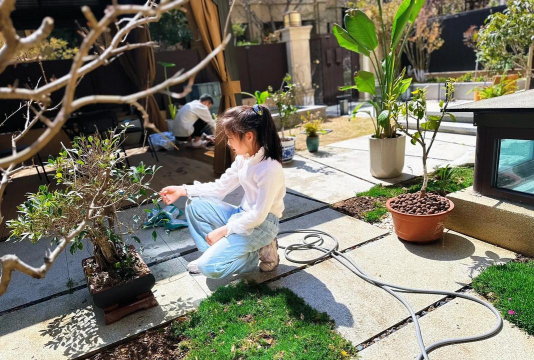 家庭养花用生根粉