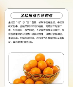 金橘象征着什么