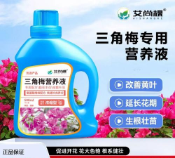 家庭养花用生根粉