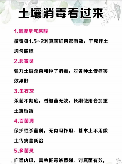 家庭养花用生根粉