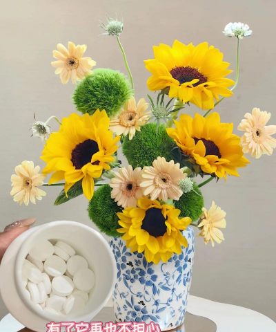 家庭养花用生根粉