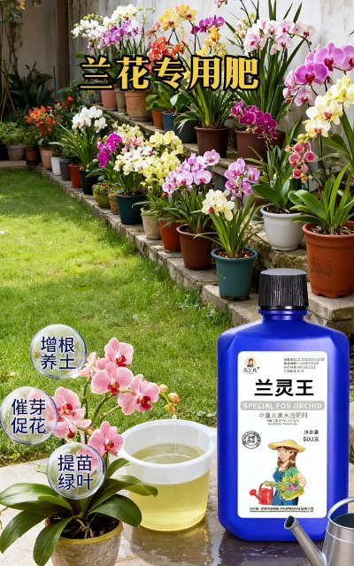 家庭养花用生根粉