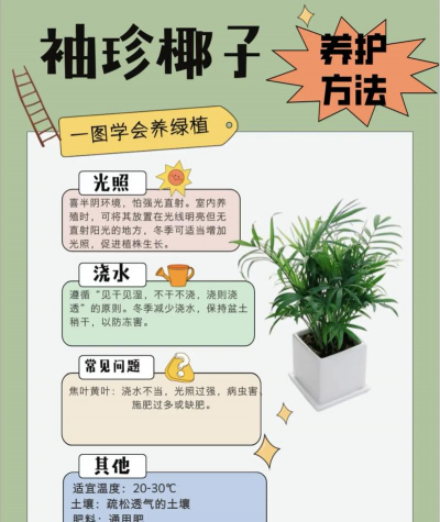 椰子花盆怎么获得