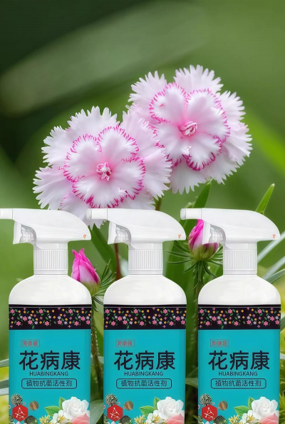 家庭养花用生根粉