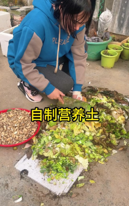 家庭养花用生根粉