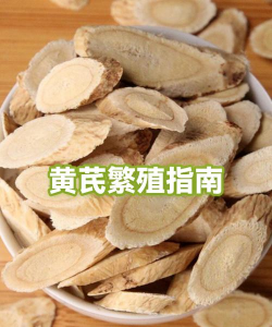 黄芪有怎么繁殖