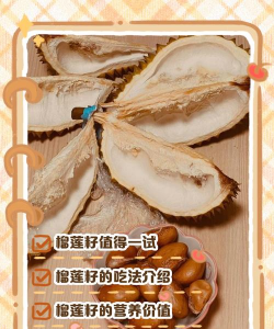 榴莲子怎么用