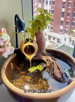 家庭养花用生根粉