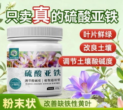 家庭养花用生根粉