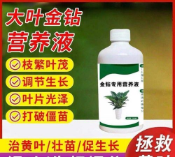 家庭养花用生根粉