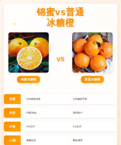 锦红冰糖橙品种特点_与锦蜜冰糖橙口感外观糖度略有区别