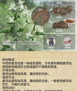 养花的灵丹配方