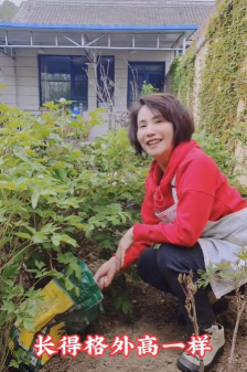 家庭养花用生根粉