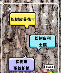 松树皮怎么用于养花
