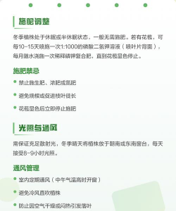 西洋杜鹃怎么过冬