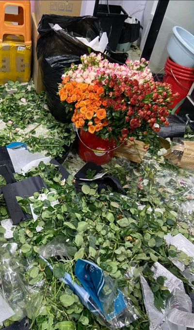 家庭养花用生根粉