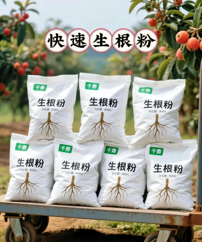 家庭养花用生根粉