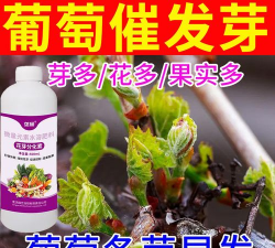 家庭养花用生根粉