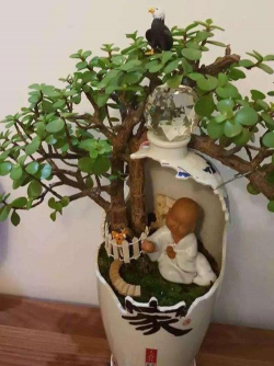 家庭养花用生根粉