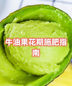 牛油果开花怎么养护