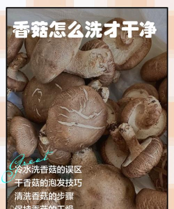 香菇水能养花吗