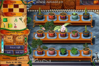 家庭养花用生根粉