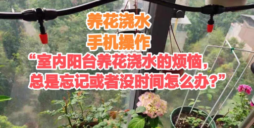 家庭养花用生根粉