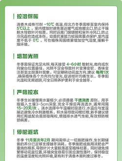 冬天怎么保养清香木