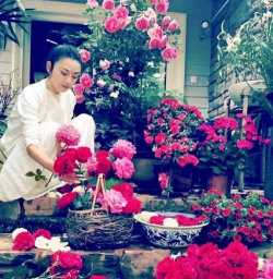 家庭养花用生根粉