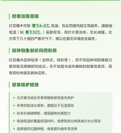 红花继木怎么越冬