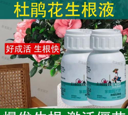 家庭养花用生根粉