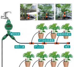 家庭养花用生根粉