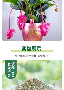 家庭养花用生根粉