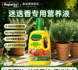 家庭养花用生根粉