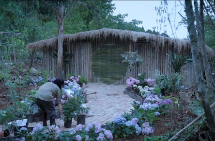 家庭养花用生根粉