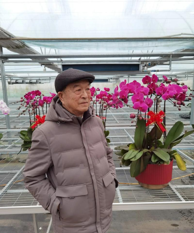 家庭养花用生根粉