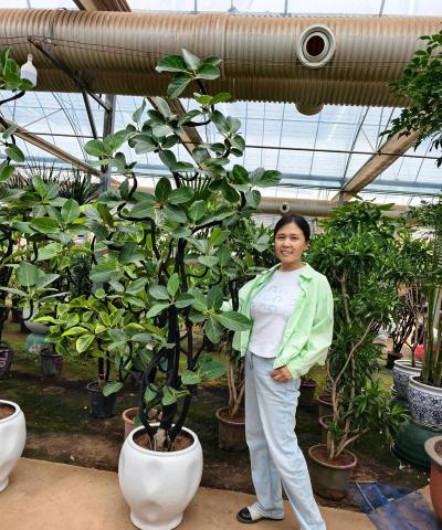 家庭养花用生根粉