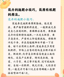 家庭养花用生根粉