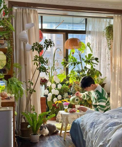 家庭养花用生根粉